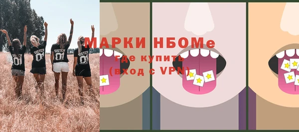 гашик Алексеевка