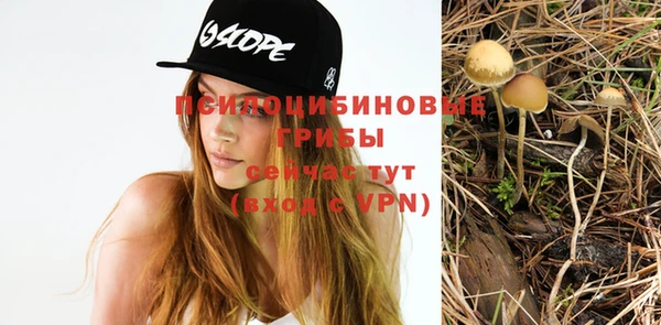 MDMA Premium VHQ Армянск