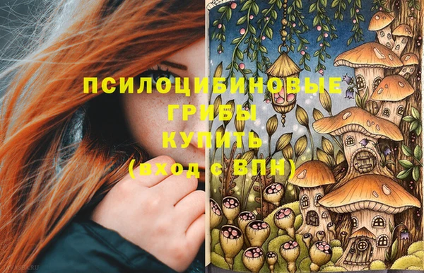 ALPHA PVP Алексин