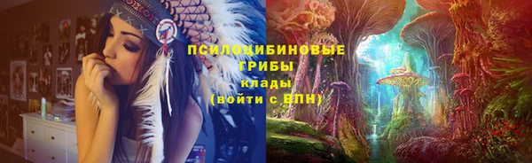 гашик Алексеевка