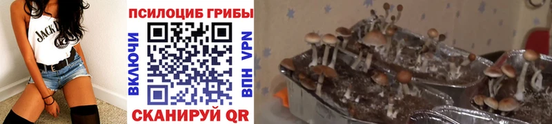 Псилоцибиновые грибы прущие грибы  наркотики  Выкса 