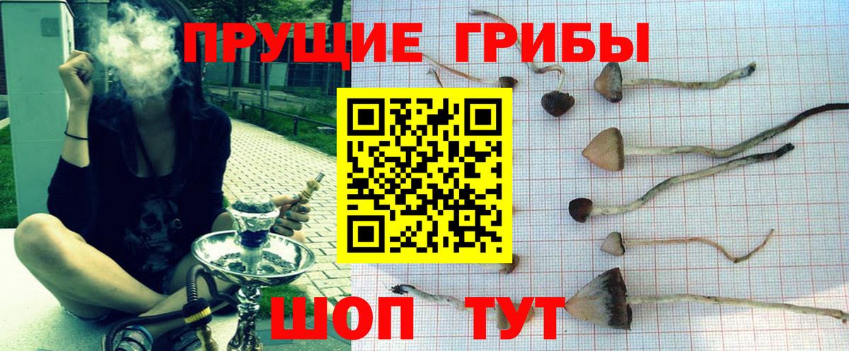 Галлюциногенные грибы GOLDEN TEACHER Выкса